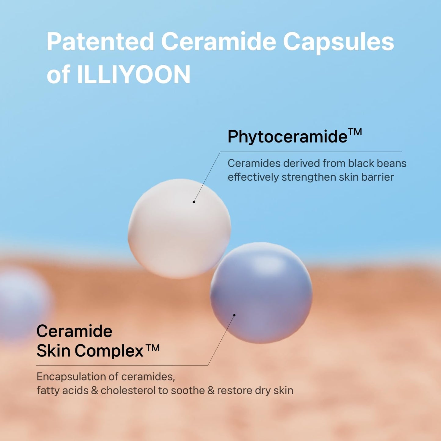 ILLIYOON Ceramide Ato Concentrate Cream (200ml, 6.76 Fl Oz) | Moisturizer for Dry&Sensitive Skin, 100hr Hydration, Restoring Skin Barrier | Gentle for Infants and Adults | Vegan | Fragrance Free