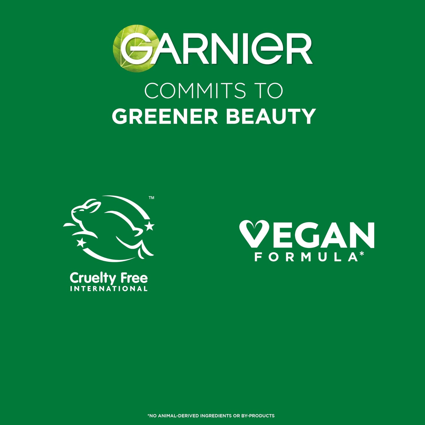 Garnier Vitamin C Serum for Face, Brightening Serum with 4% [Vitamin C + Niacinamide + Salicylic Acid], Dark Spot Reducer & Evens Skin Tone, Suitable for Sensitive Skin, 30ml
