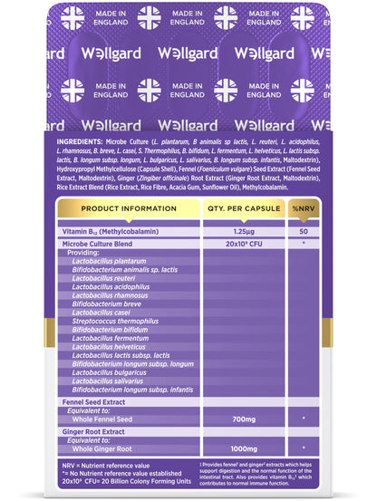 Wellgard Gutstar Probiotics - 16 Strain Probiotics for Gut Health with Fennel and Ginger, Vegan, UK Made